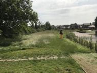 Click for all images